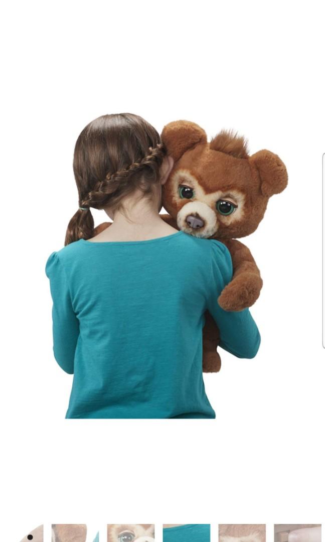 cubby the curious bear canada
