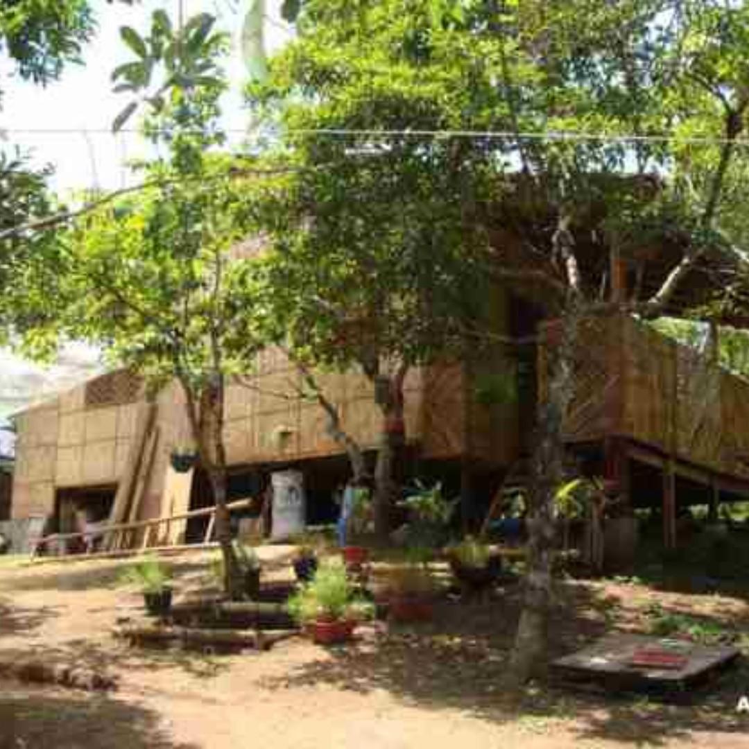 Lanzones Farm at Batangas with Bahay Kubo, Property, For ...