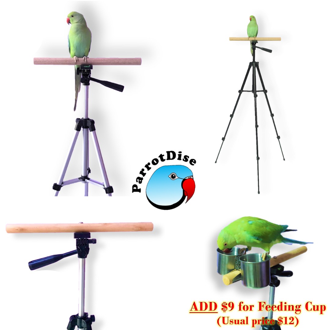 portable bird stand
