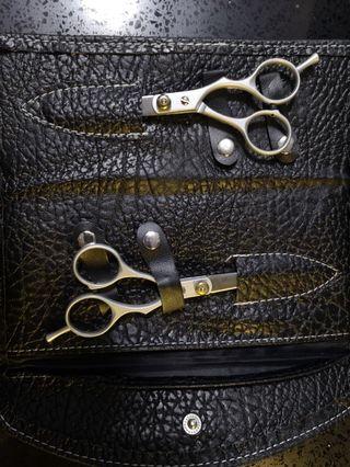 Brand New professional hairdressing scissors set
