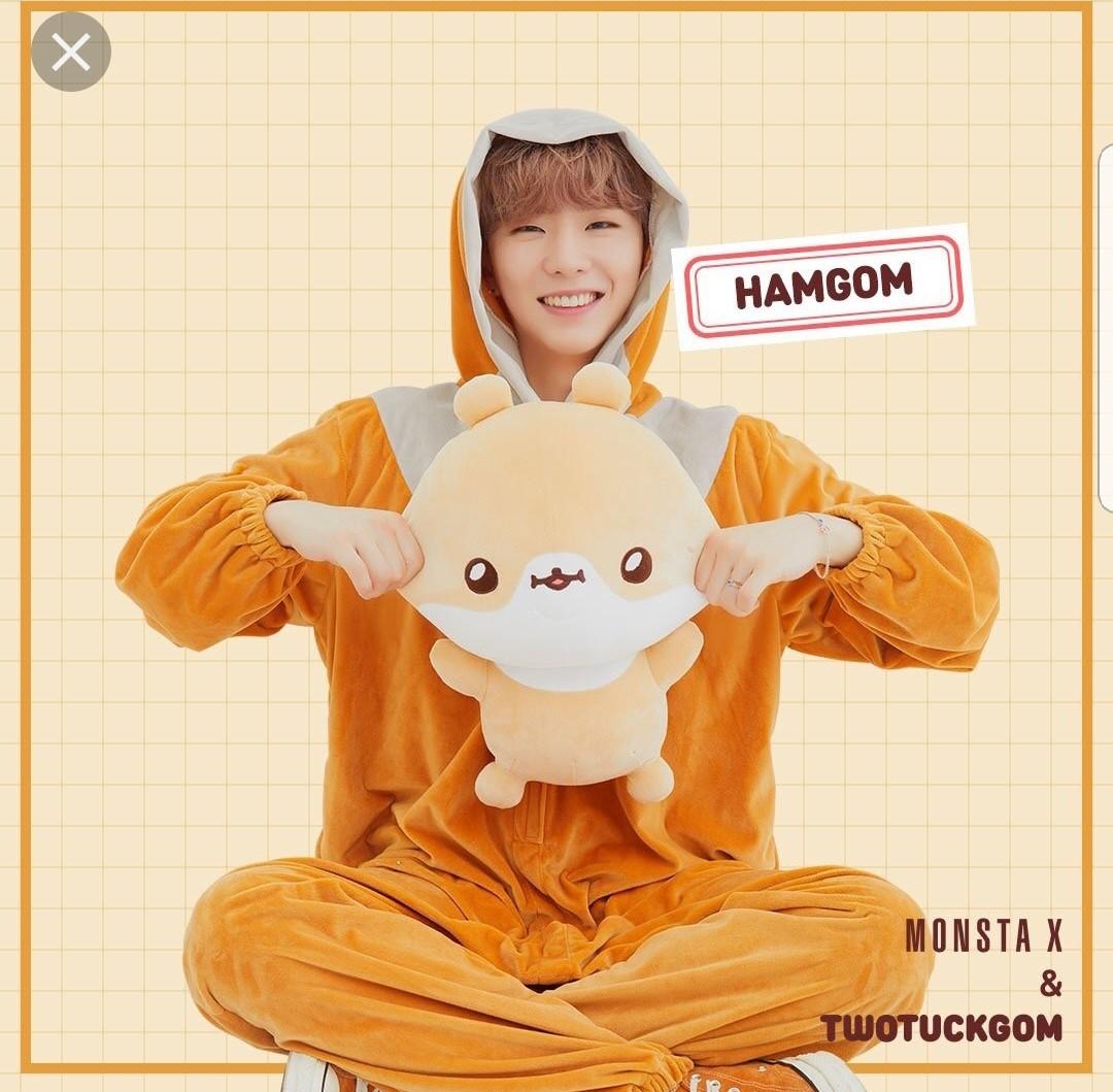 [New] Kihyun Hamgom Monsta X Twotuckgom Body Pillow Plush Toy Plushy