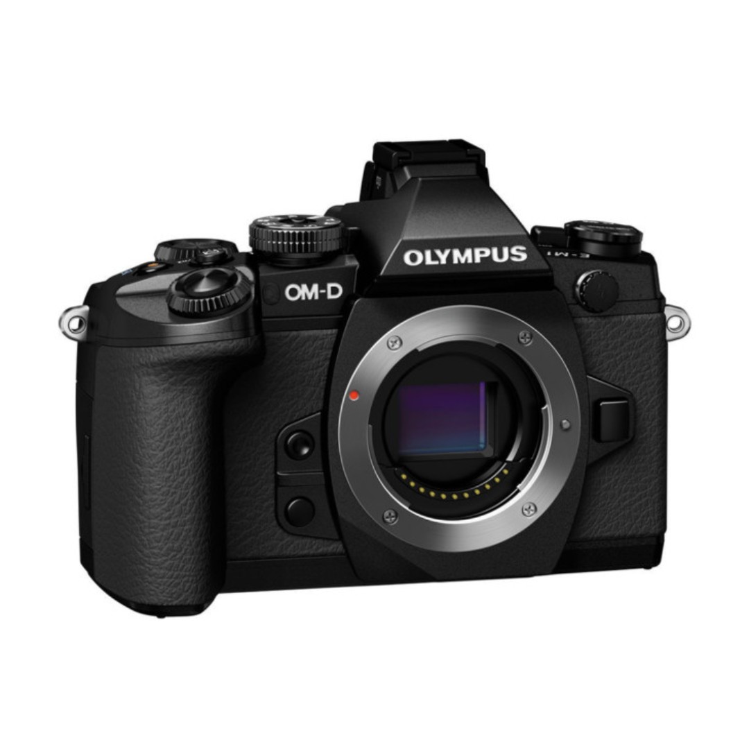 可議價送直倒) Olympus OM-D E-M1 Mark II / OMD EM1 Markii + HLD-7