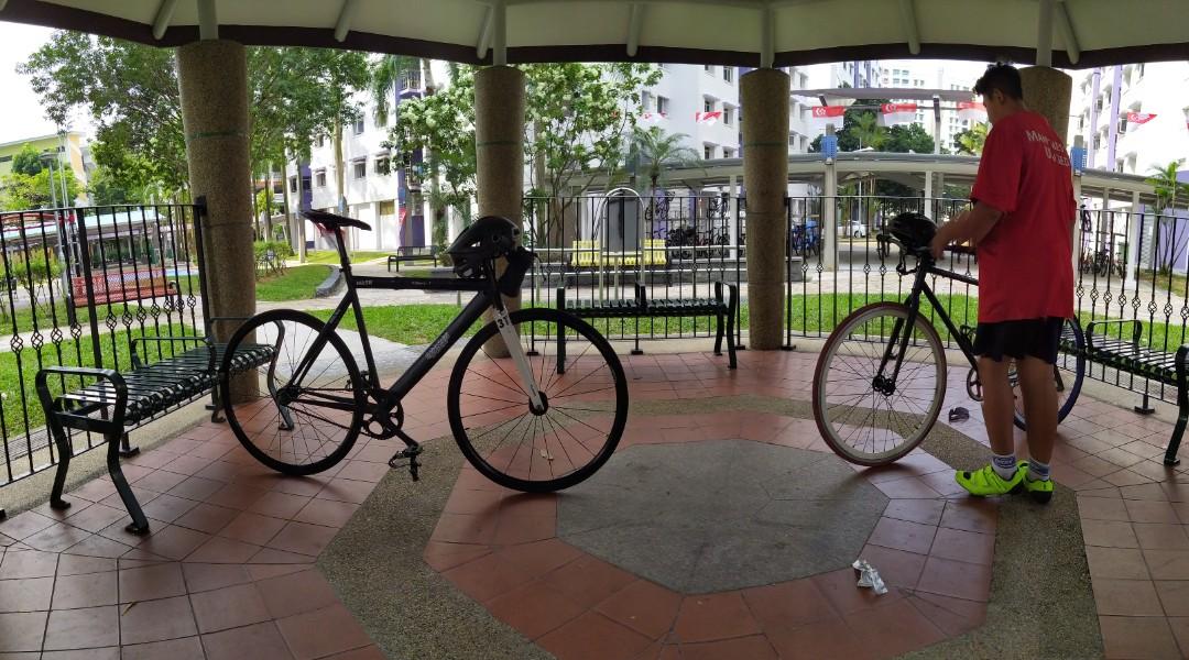 Zf shop prime fixie