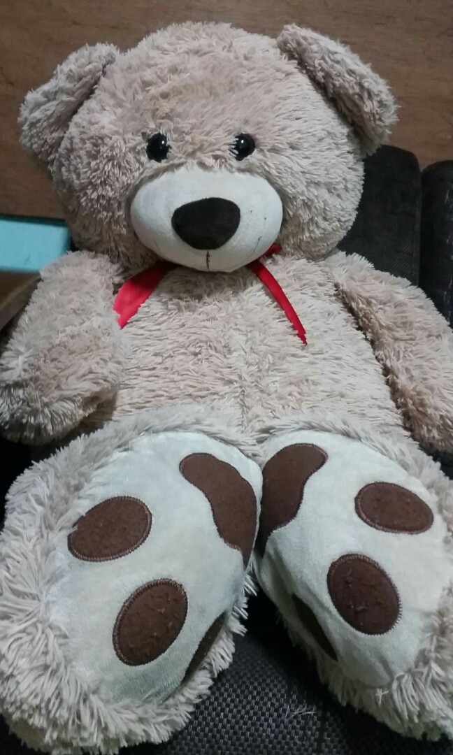 big huggable teddy bear