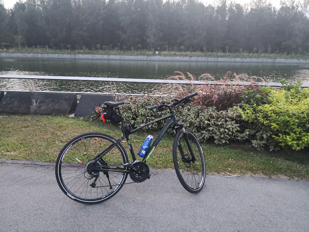 merida crossway 300 lady 2019