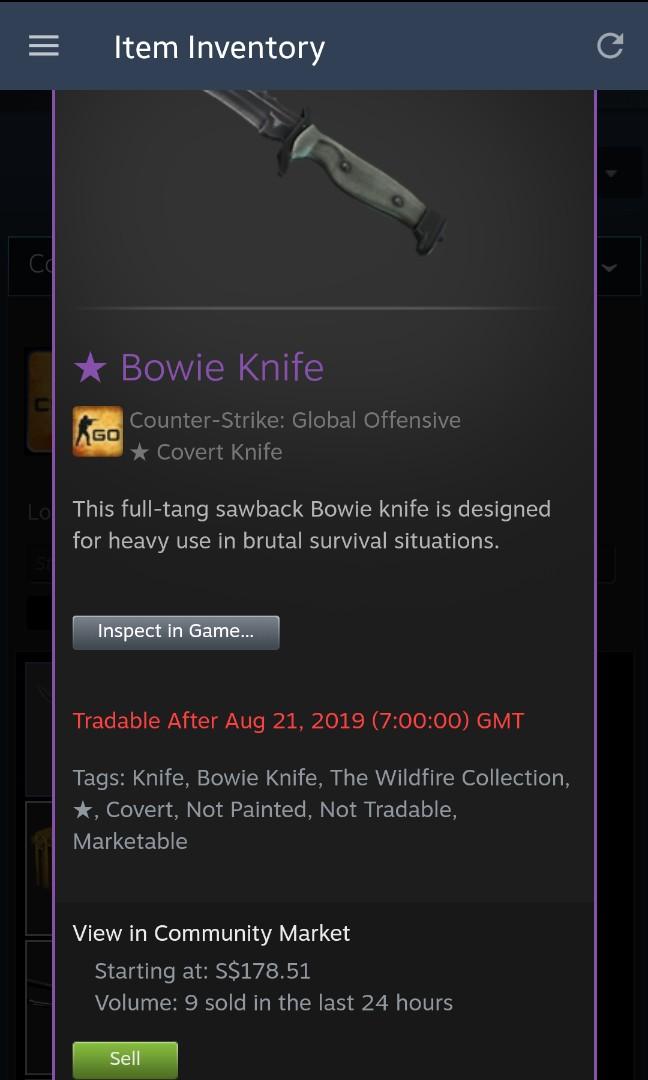 [ CSGO ] Bowie Knife vanilla, Video Gaming, Gaming Accessories, Game ...