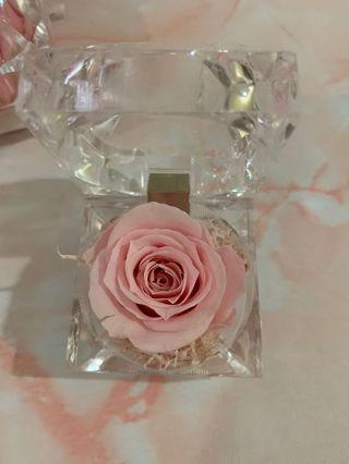 Preserved Everlasting Flower in Acrylic Crystal Ring Box