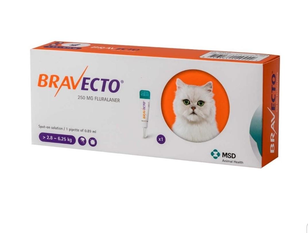 Bravecto 2 8kg Cat Pets Supplies Pet Accessories On Carousell