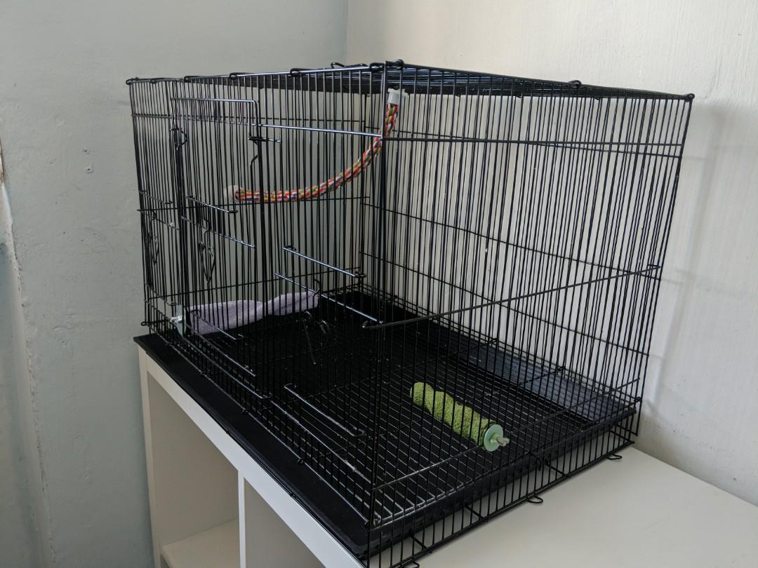 Collapsible 2025 bird cage