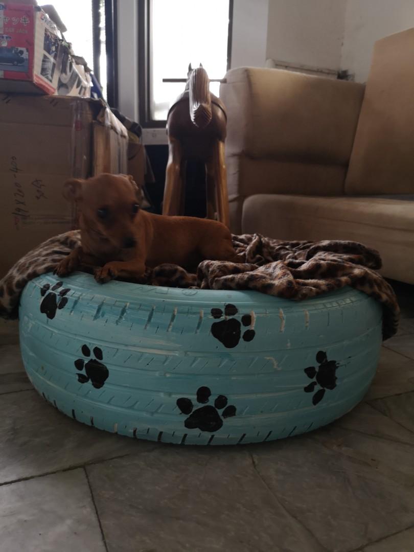 dog bed recycle dog tire free blanket pet cat accessories gift