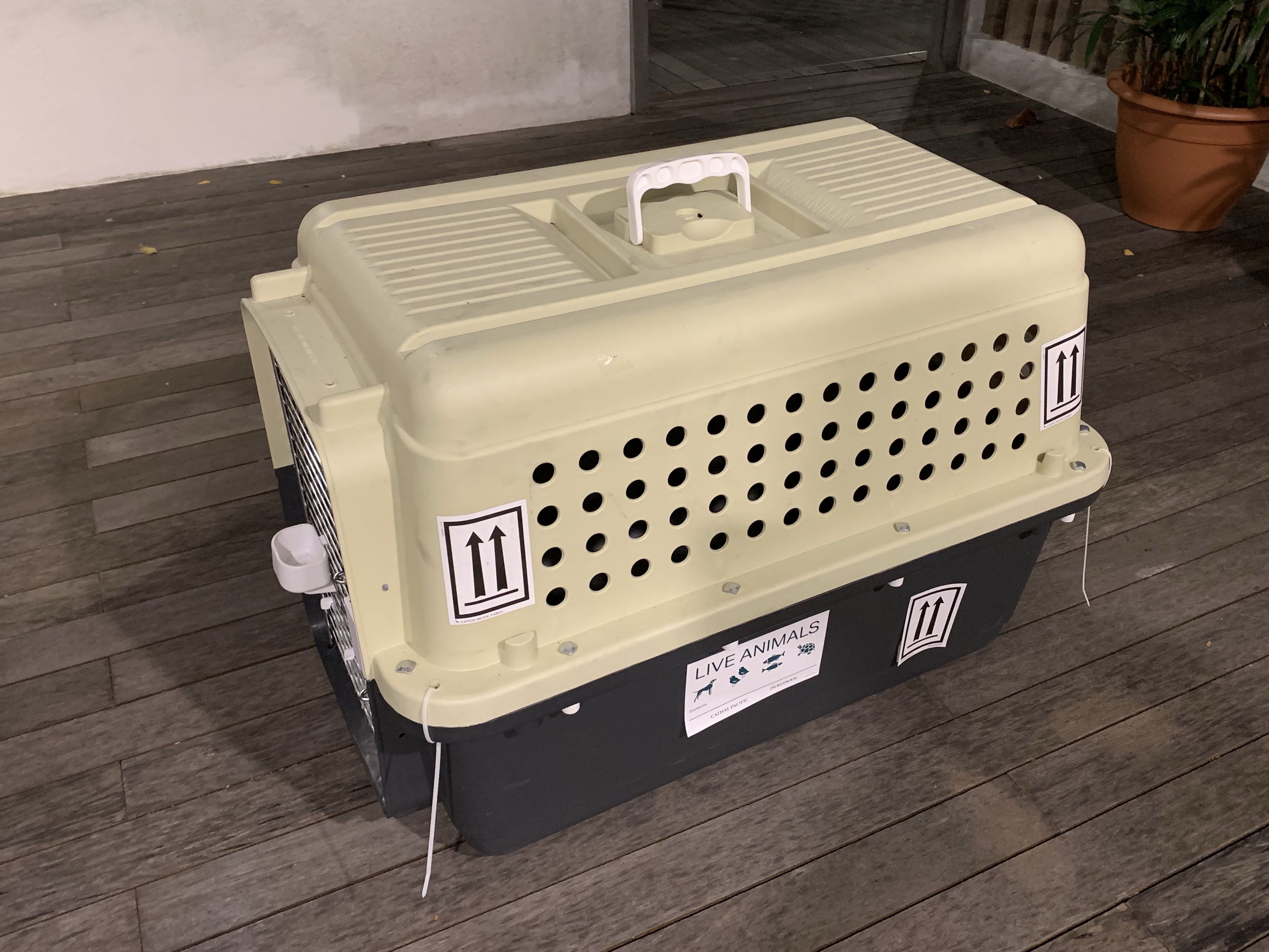 Dog / Cat Kennel Airline Approved, Pet Supplies, Homes & Other Pet