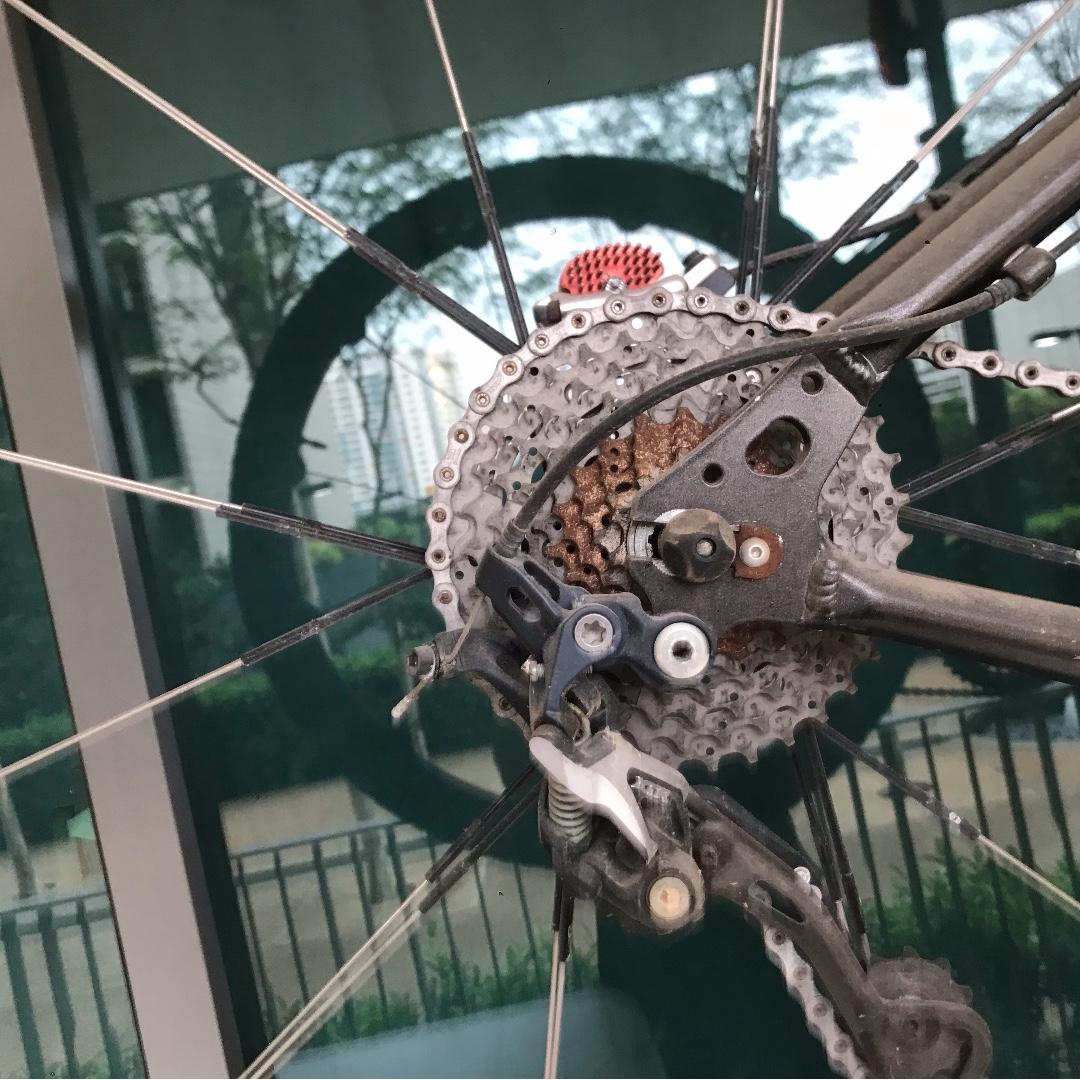 Bianchi clearance sok 29er