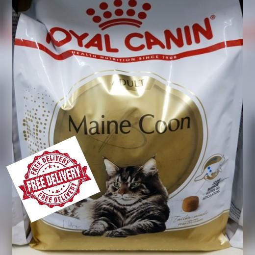 Royal Canin Maine Coon Adult Pet Supplies For Cats Cat Food On