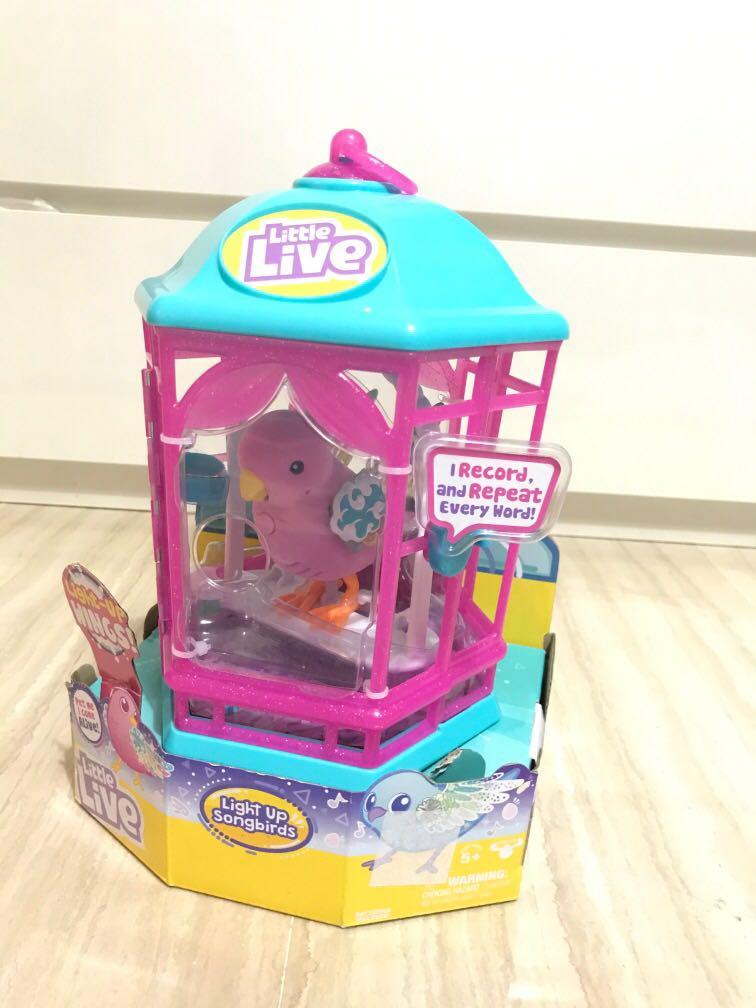 Little live pets outlet light up songbird cage