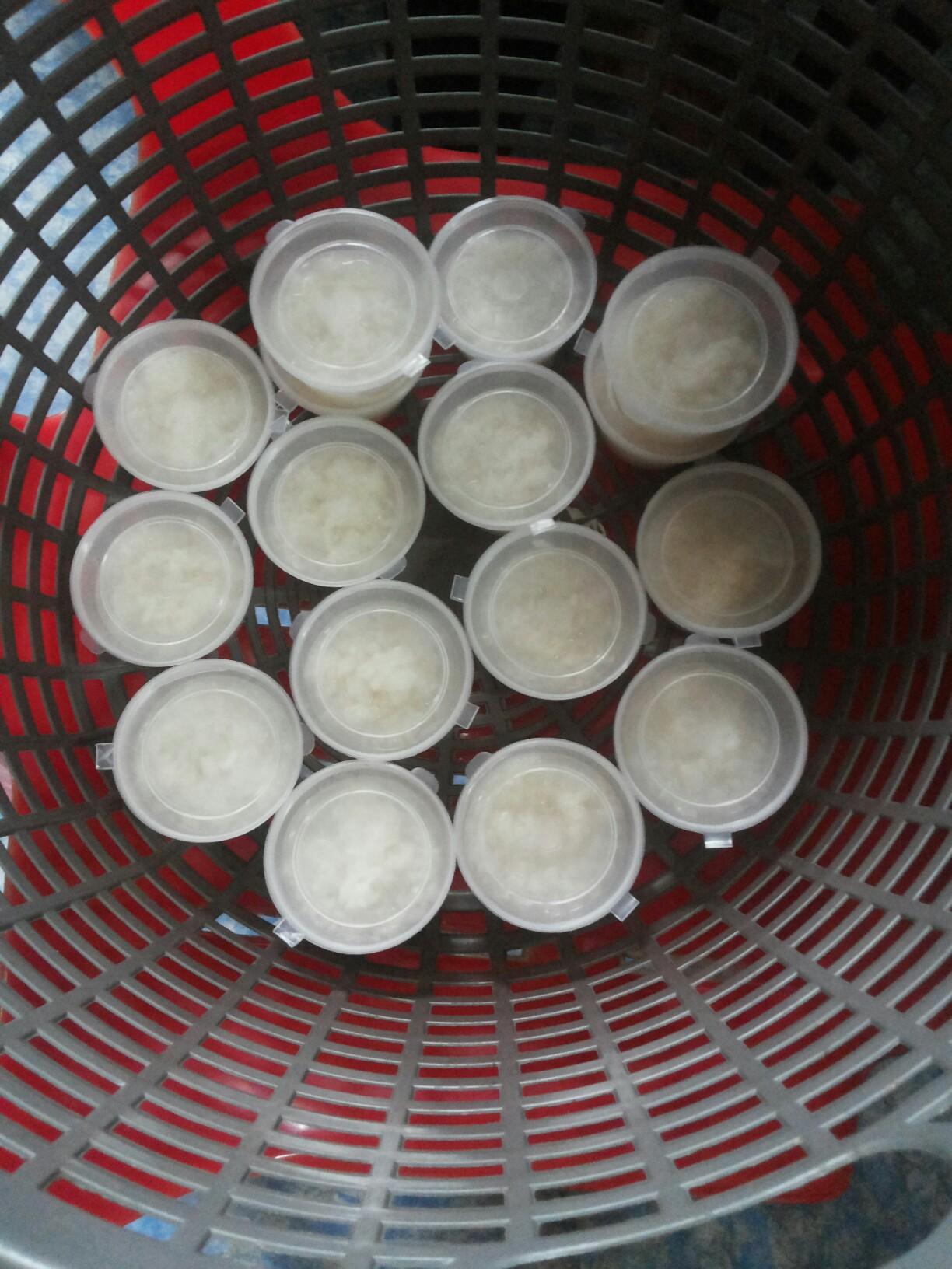 Tapai Pulut Manis N 9 Food Drinks Packaged Snacks On Carousell