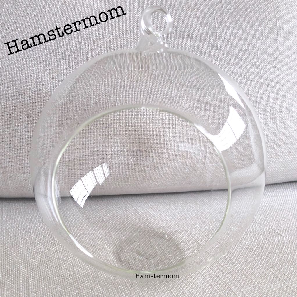 Snapshot of Clear Glass Wall Hamster Habitats With Plants And Decorations