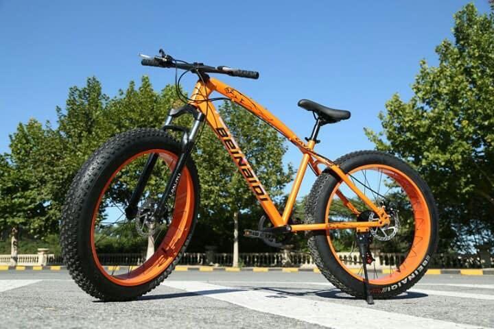 tayar mountain bike