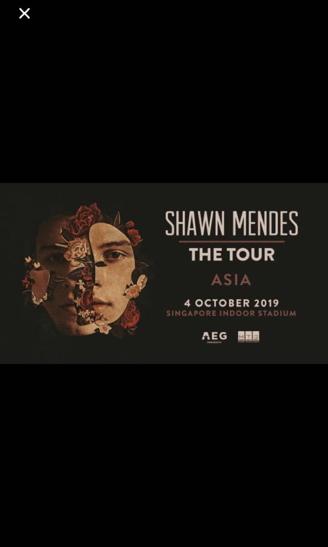 Shawn Mendes Concert Ticket X2, Tickets & Vouchers, Event Tickets on