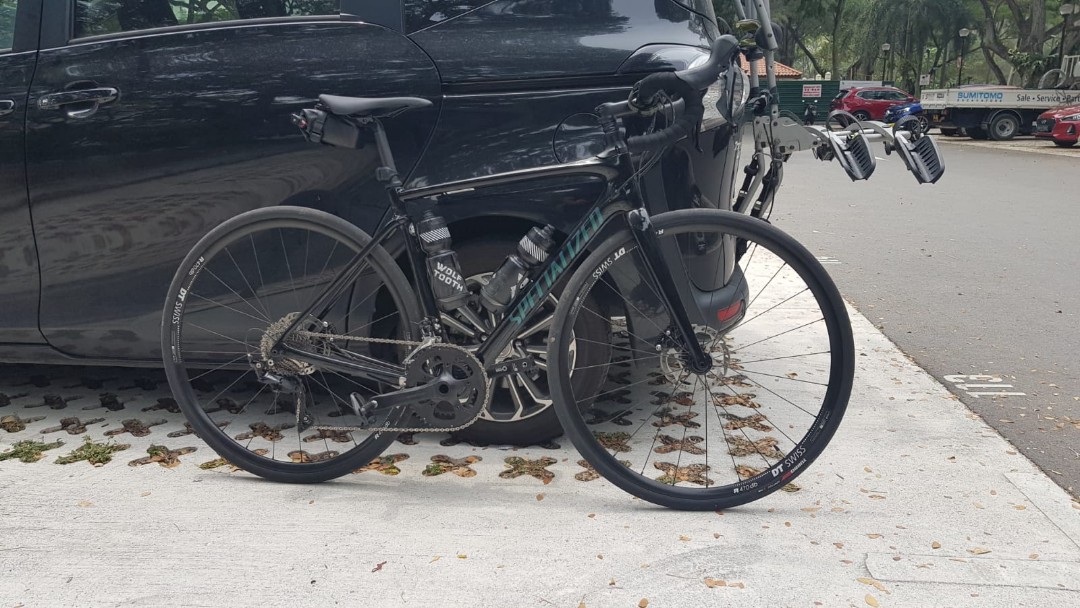 Specialized roubaix 2019 sport hot sale