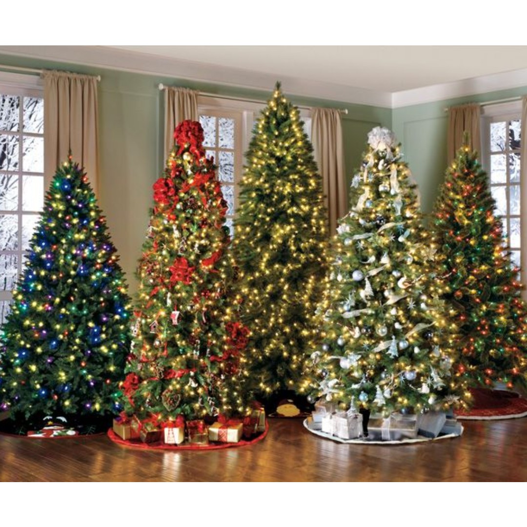 Christmas trees supplier, Hobbies & Toys, Stationary & Craft, Occasions