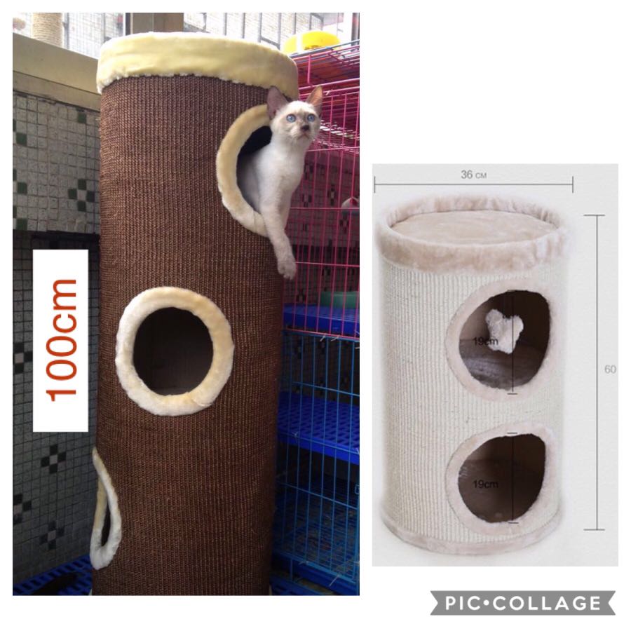tall cat bed