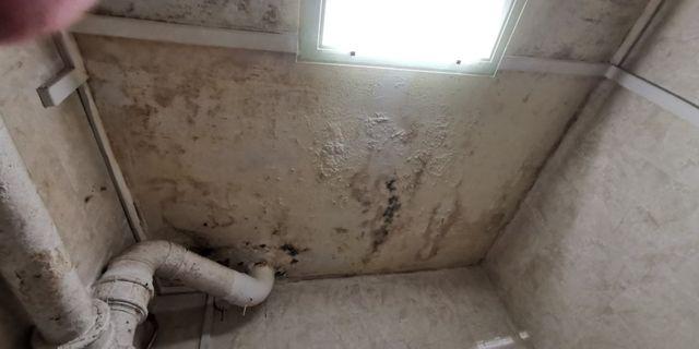 Water Proofing Specialist Water Proofing Specialist
