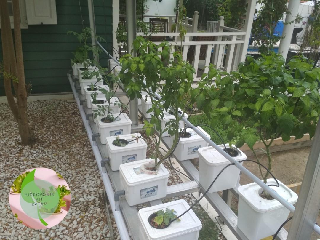 Kit Hydroponics Kit Hidroponik Dutch Bucket System 20 Pot For