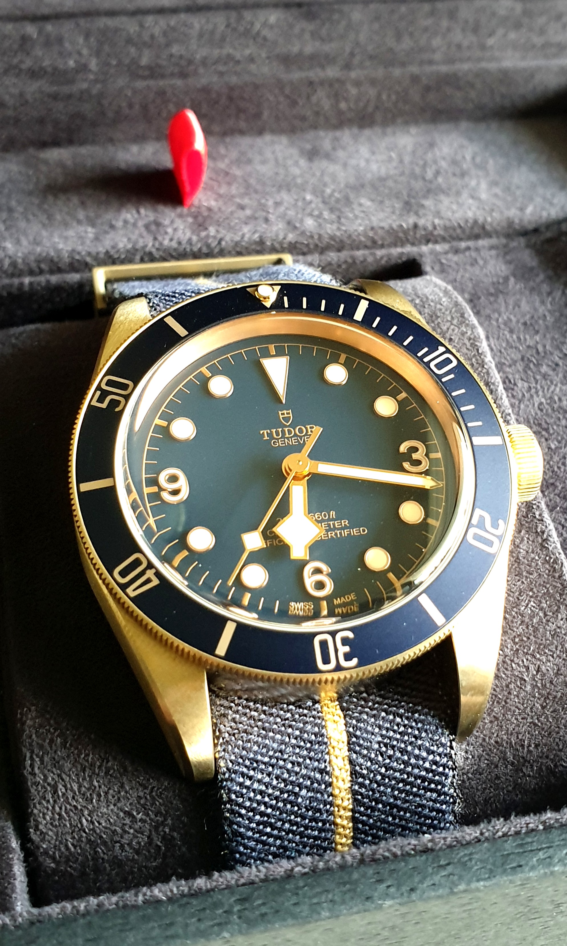 BNIB TUDOR Black Bay Bucherer Discontinued Luxury Watches on Carousell