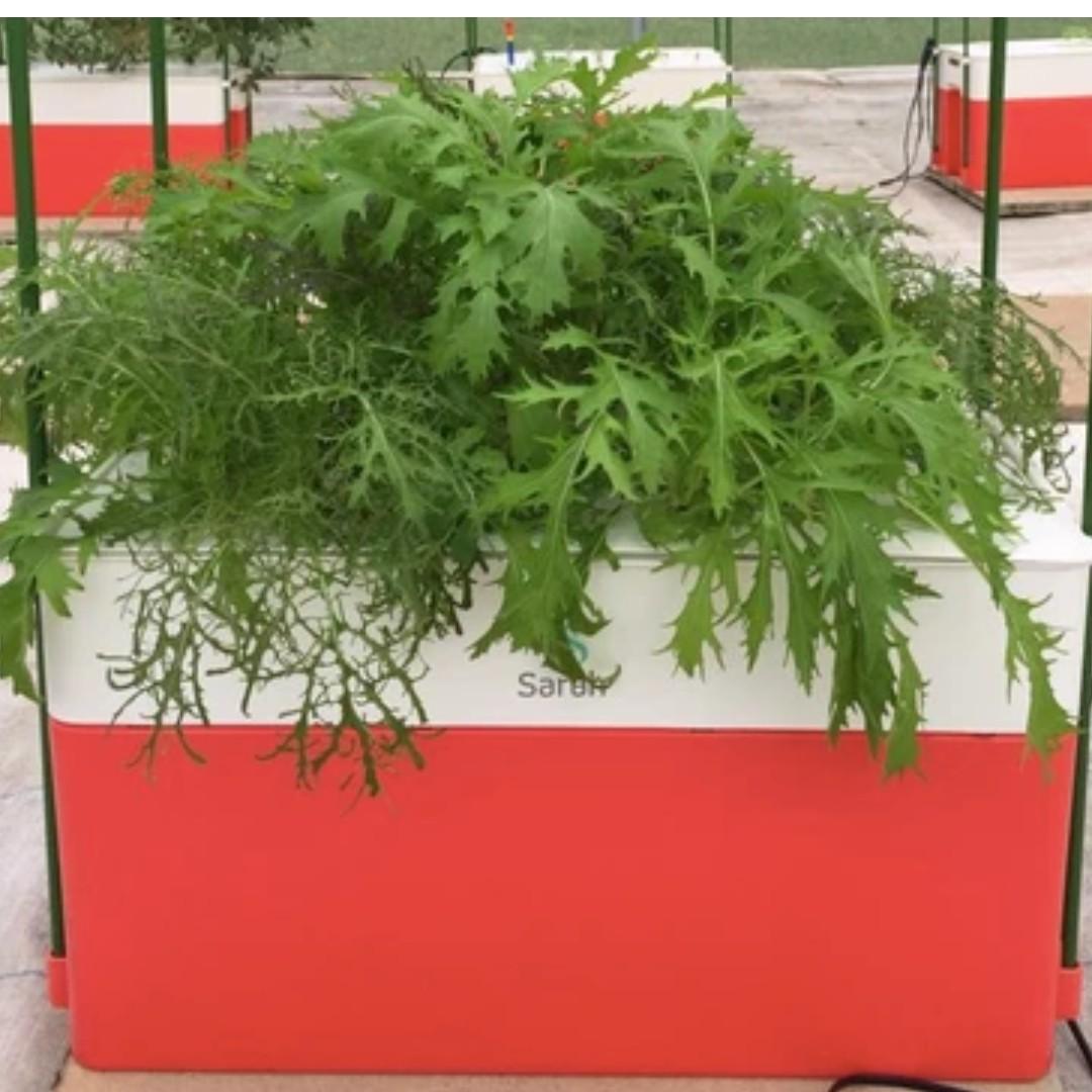 Home Hyponica Hydroponic Kit Sarah Gardening Gardening Tools