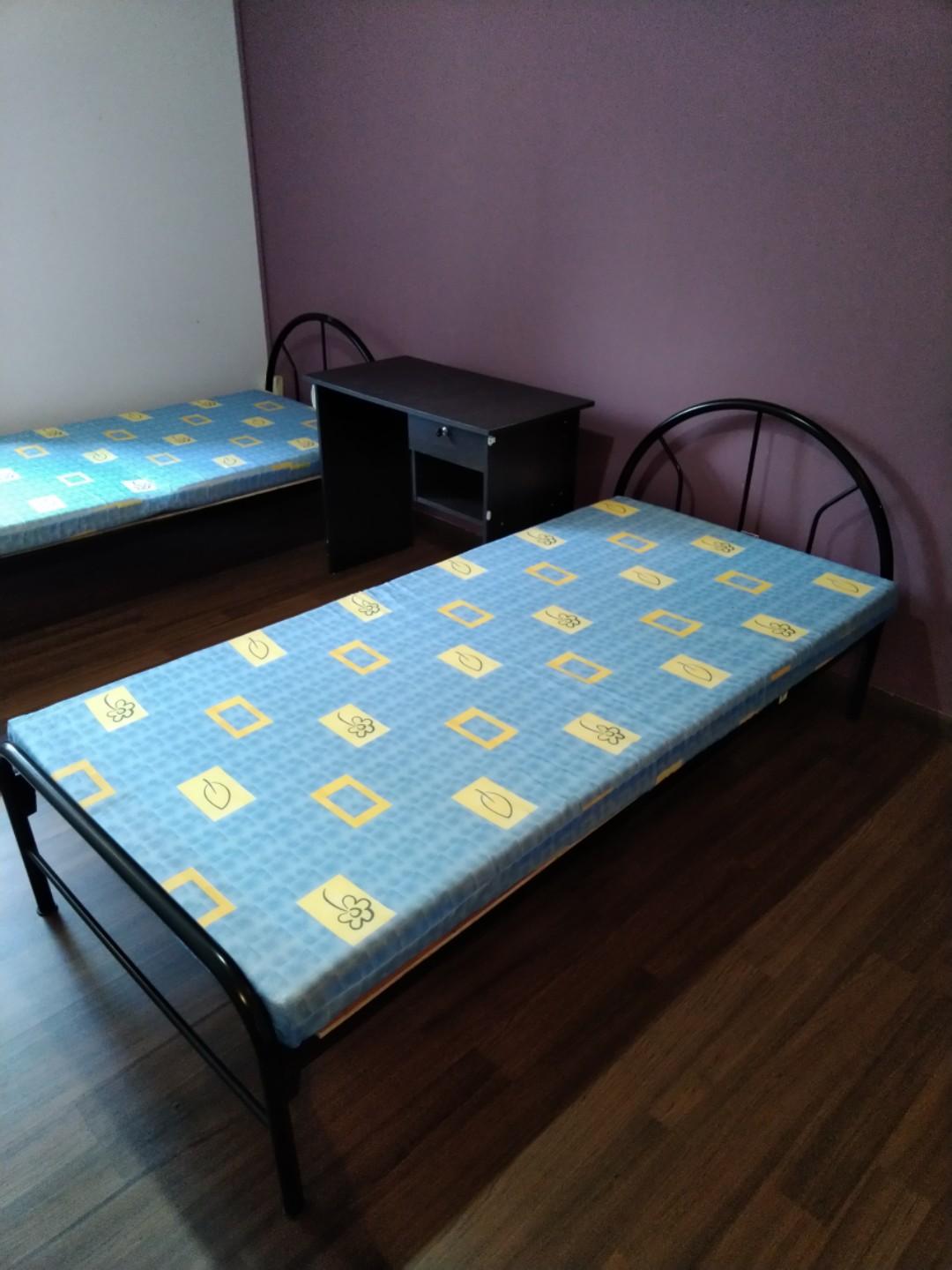 Single beds and mattress, Furniture & Home Living, Furniture, Bed Frames & Mattresses on Carousell