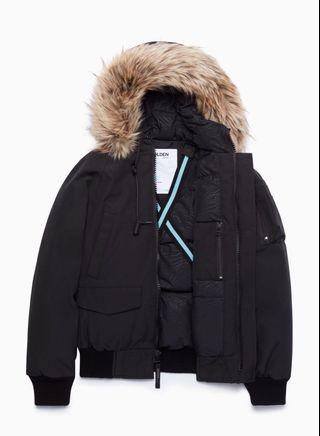 Aritzia Denali Parka (Goose Down)