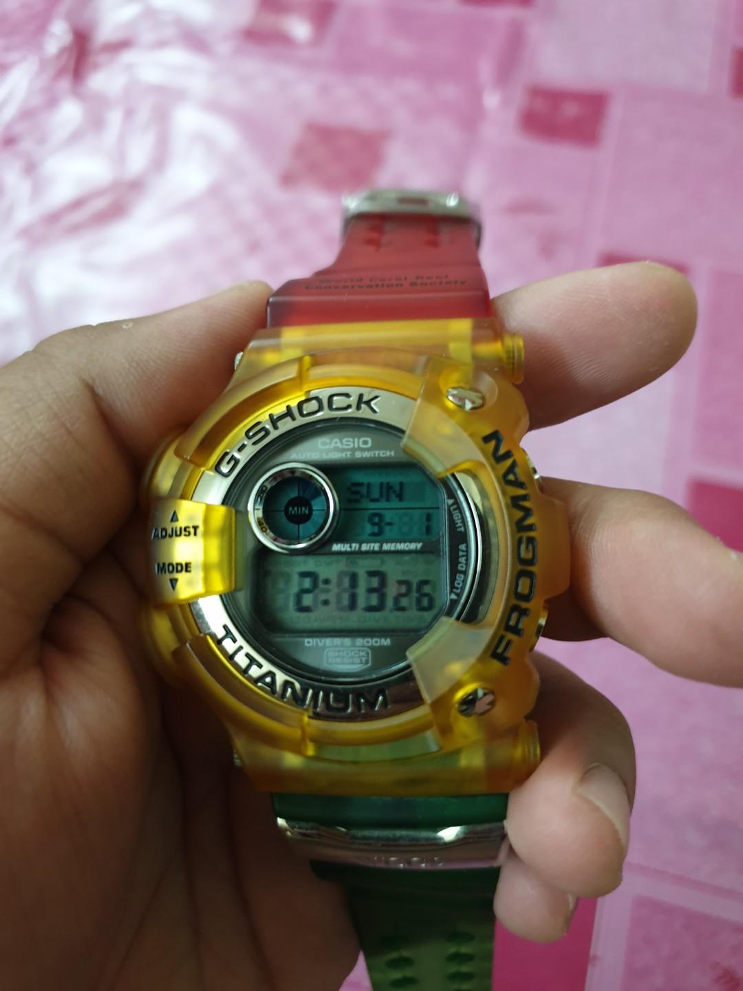 G-SHOCK FROGMAN 限定W.C.C.S DW-9900WC-2T箱取扱い説明書等の付属品