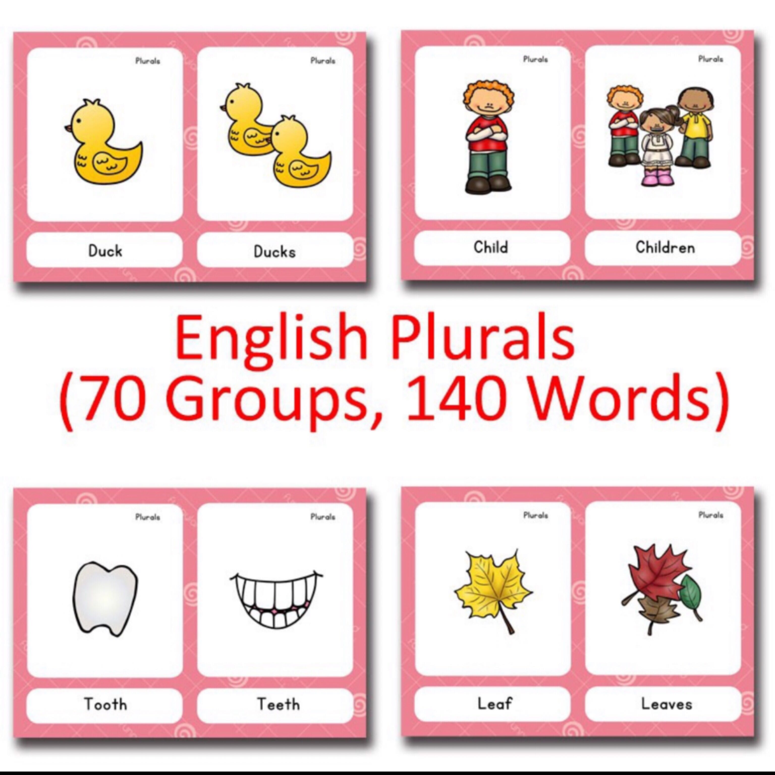 Kindergarten Singular and Plural Nouns Flash Cards, Hobbies & Toys