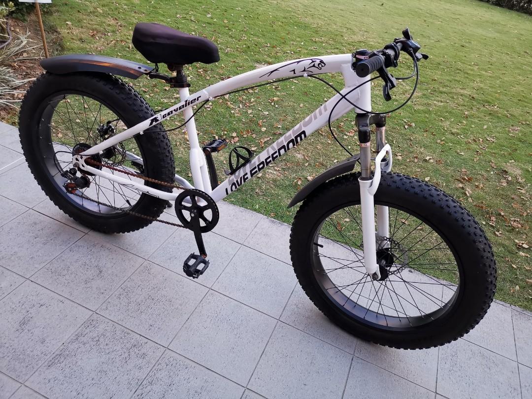 Fat boy bicycle online