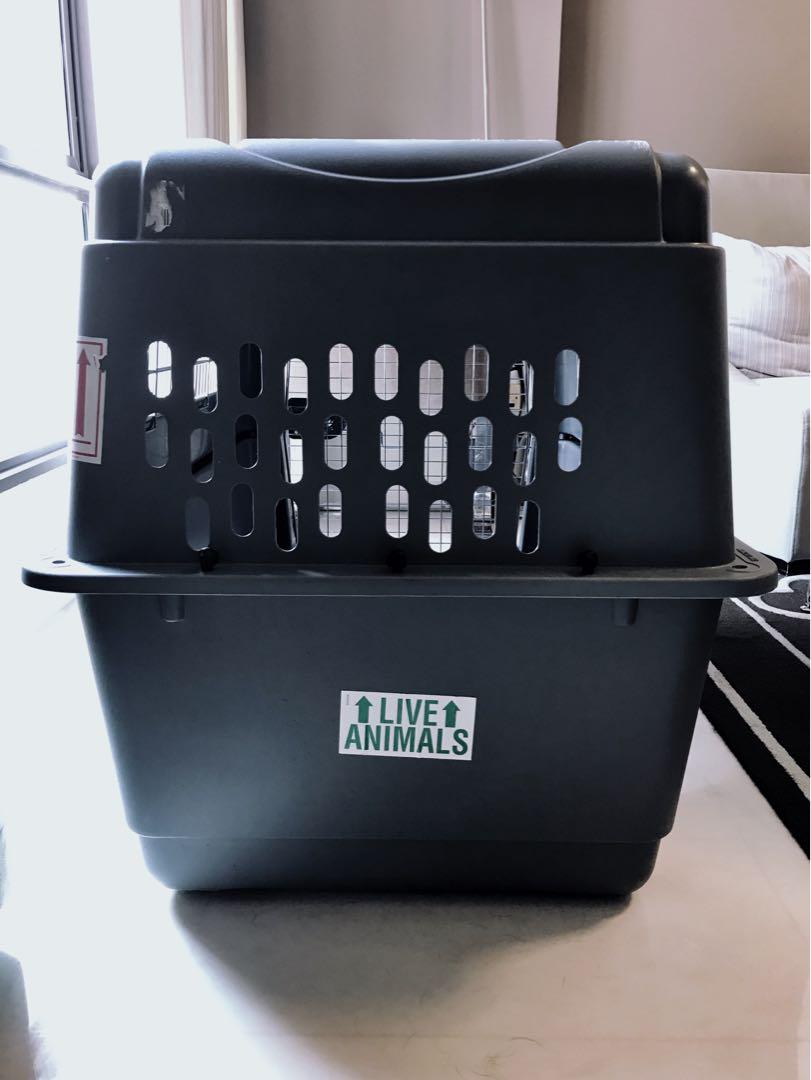 Pet Carrier Extra Large AirlineApproved Petmate Sky Kennel, Pet