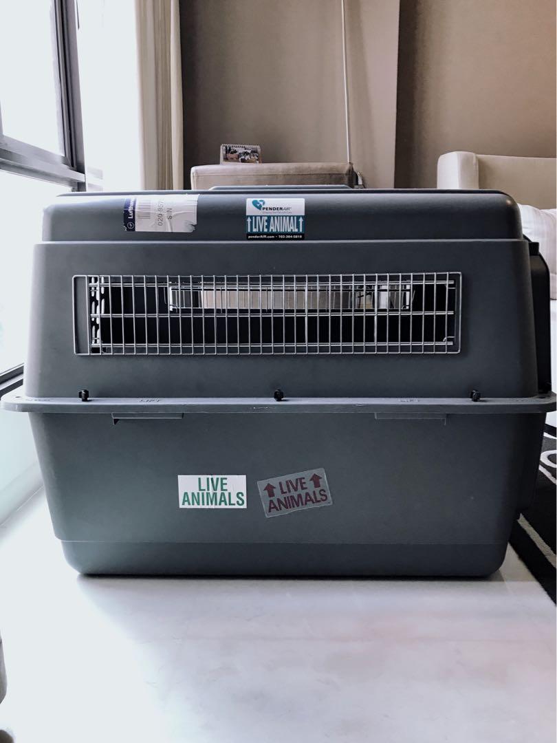 Pet Carrier Extra Large AirlineApproved Petmate Sky Kennel, Pet