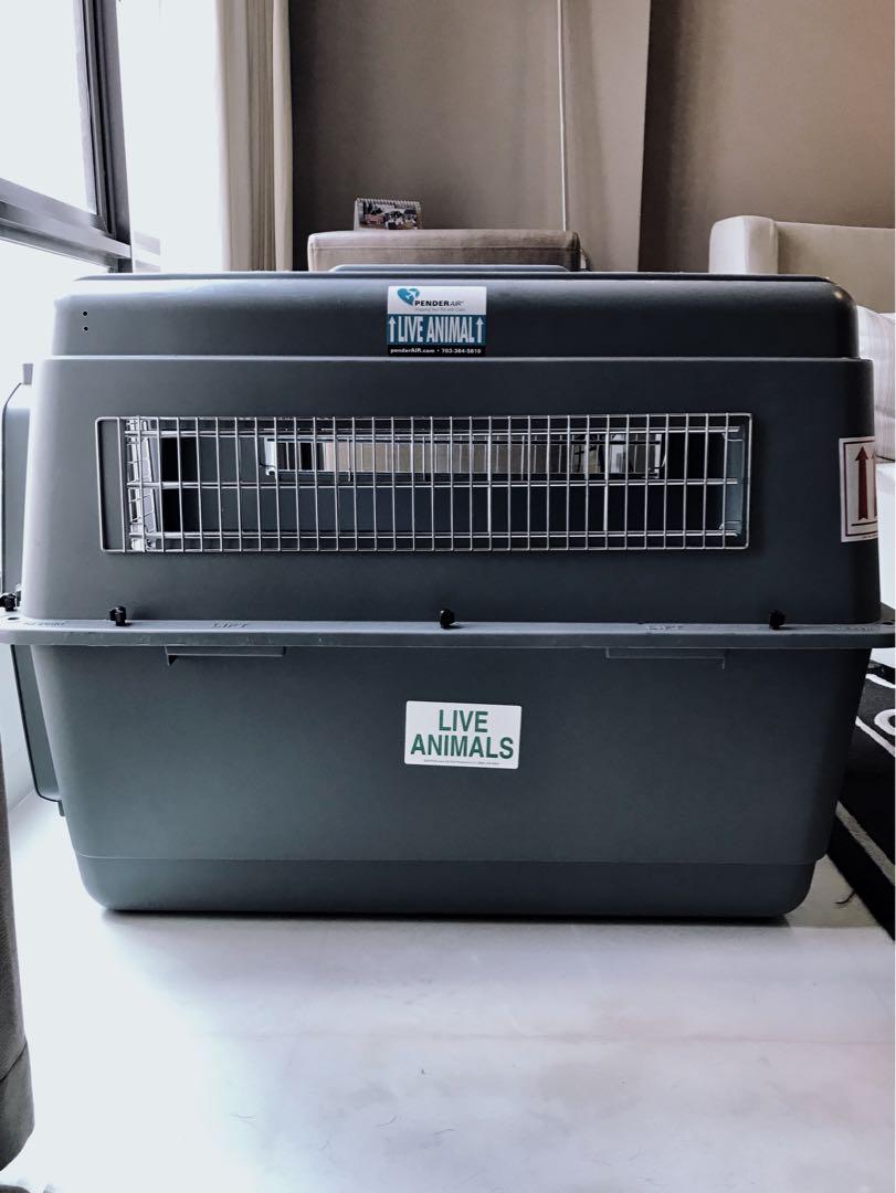 Pet Carrier Extra Large AirlineApproved Petmate Sky Kennel, Pet