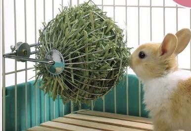 Rabbit hay ball new arrivals