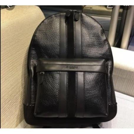 coach bag back