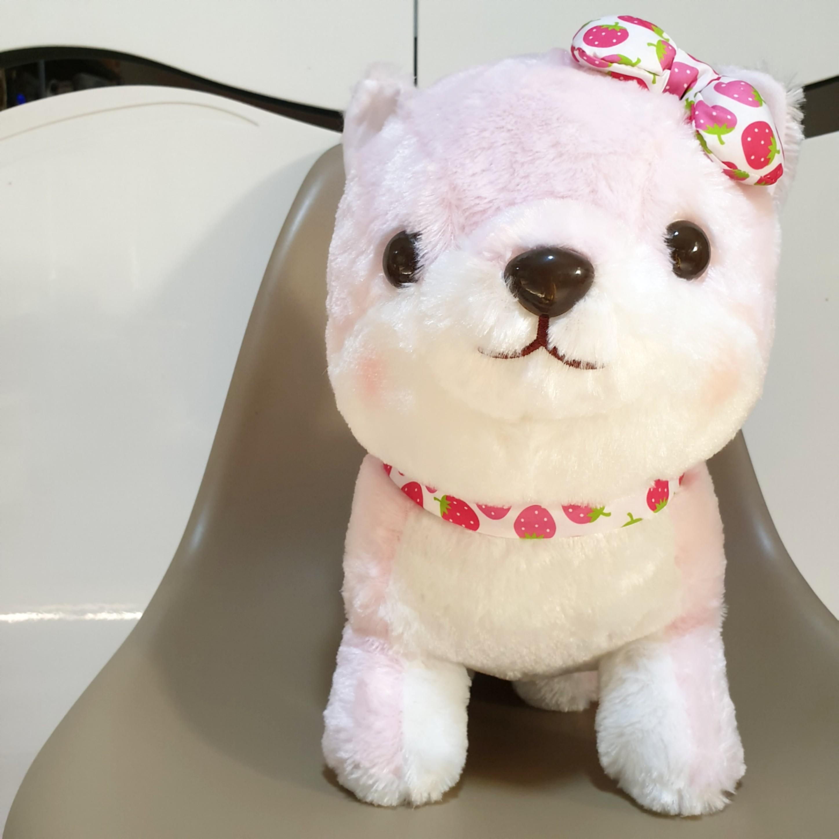 Get Wallpaper Toreba Mameshiba Brothers Fruits Big Strawberry Shiba Inu Toys Free HD