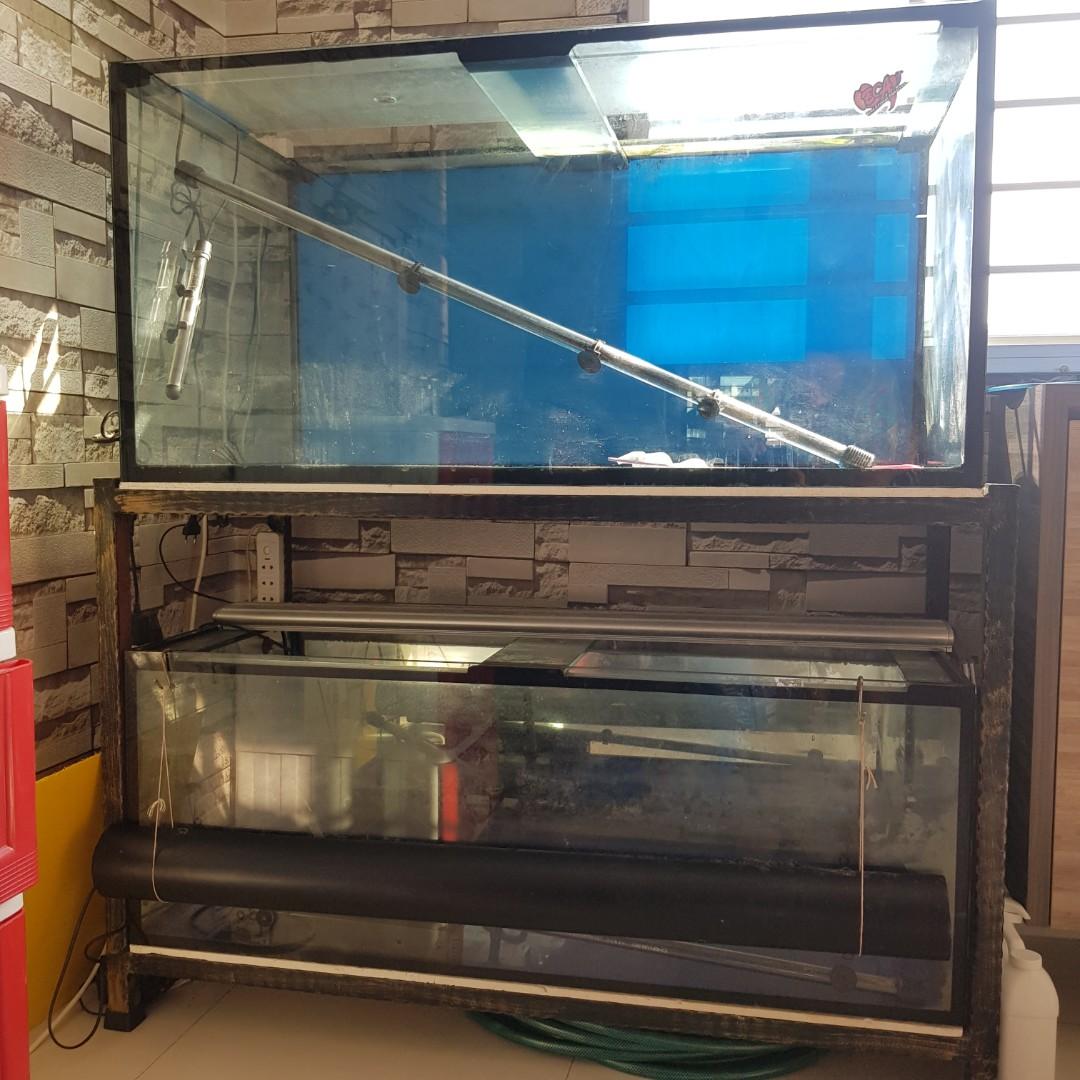 Arowana fish clearance tank for sale