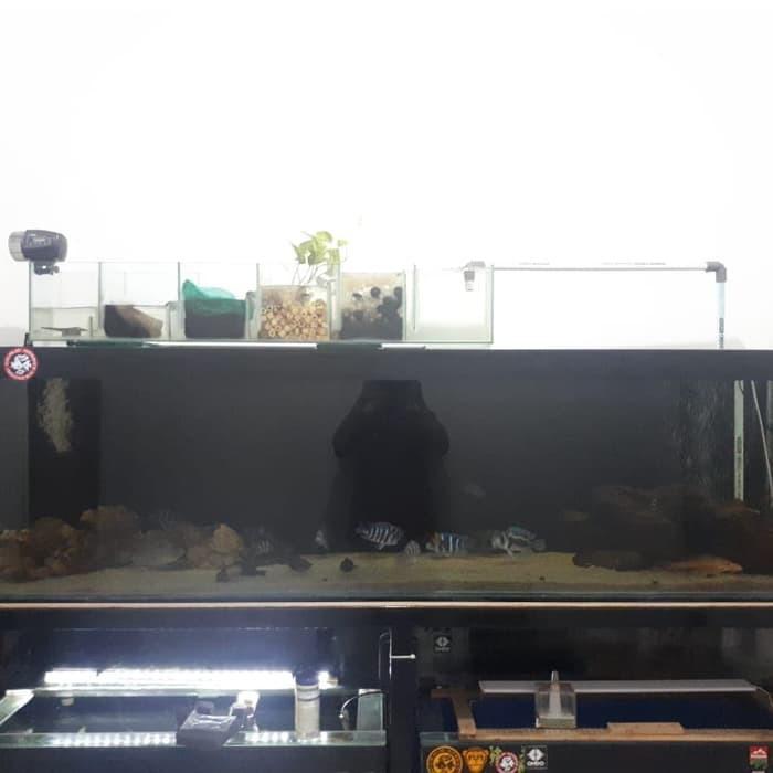 Aquarium Besar Tank Top Filter Only Uk 200x50x57 Kaca Full 12
