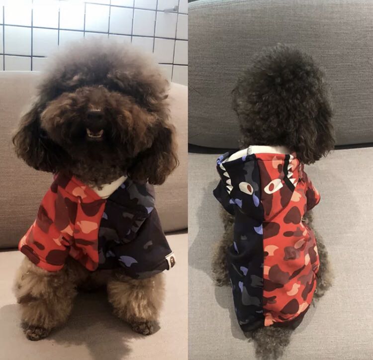 bape hoodie dog