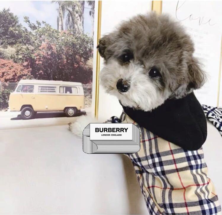burberry pet clothes