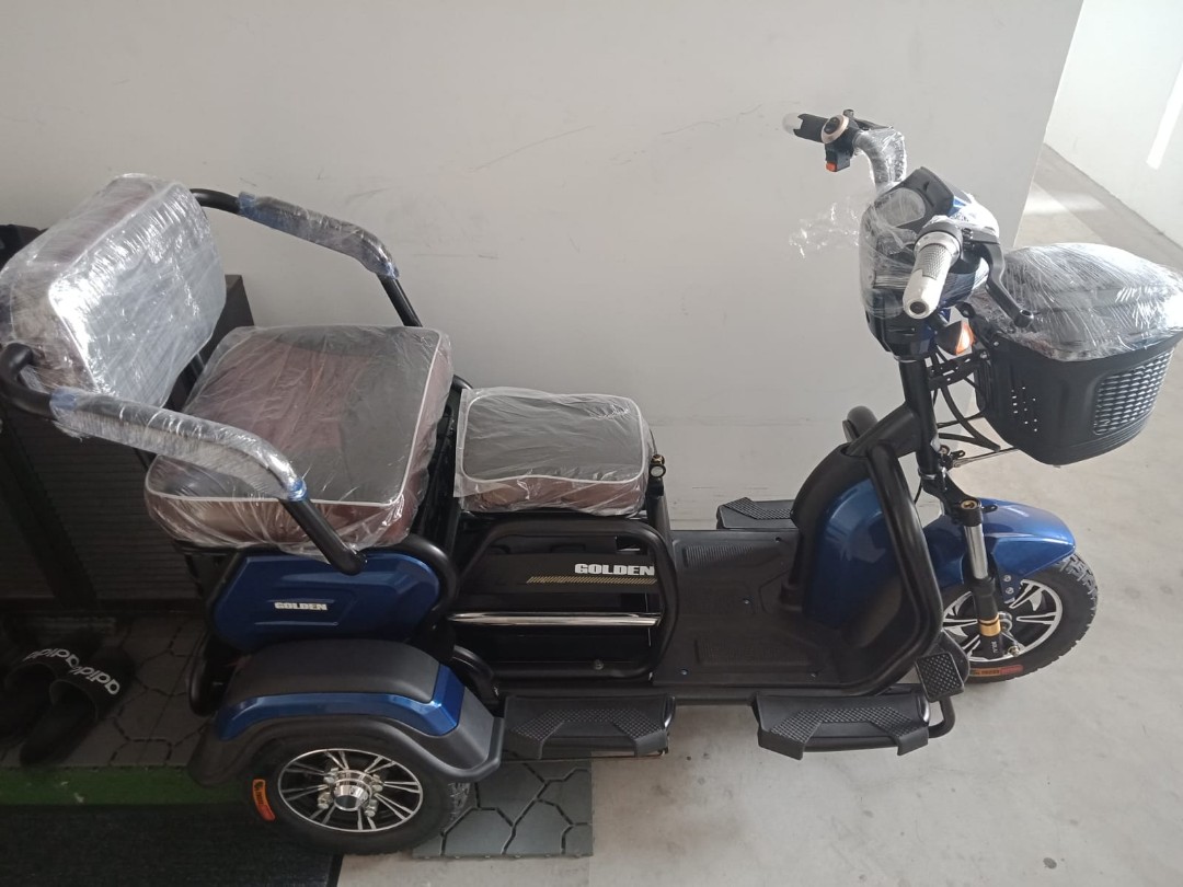 Brand New Golden Double Decker 3 Wheel Escooter Sports Equipment Pmds E Scooters E Bikes Other Pmds Parts On Carousell