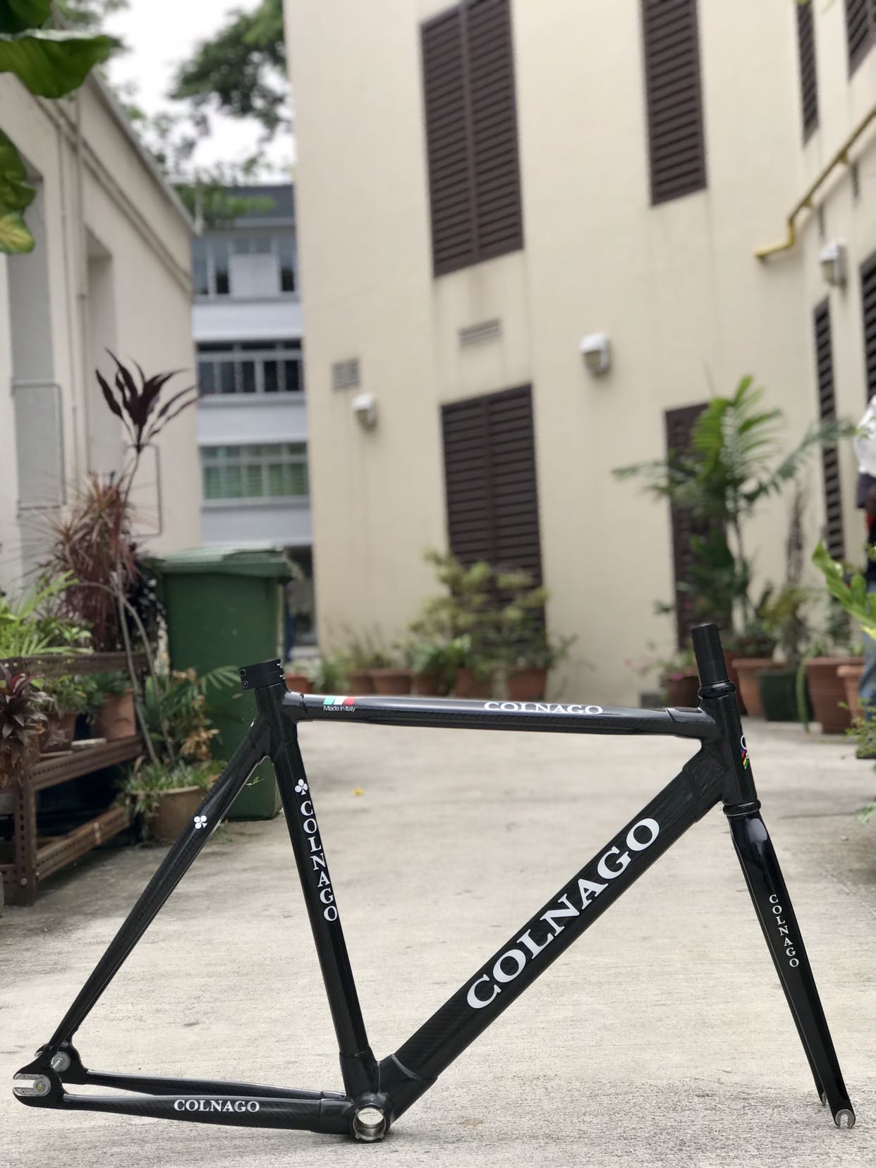 Colnago c50 for outlet sale