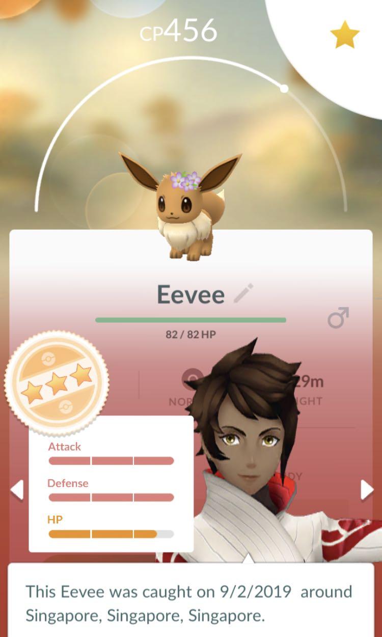 Flower Crown Eevee Pokemon Go Best Flower Site