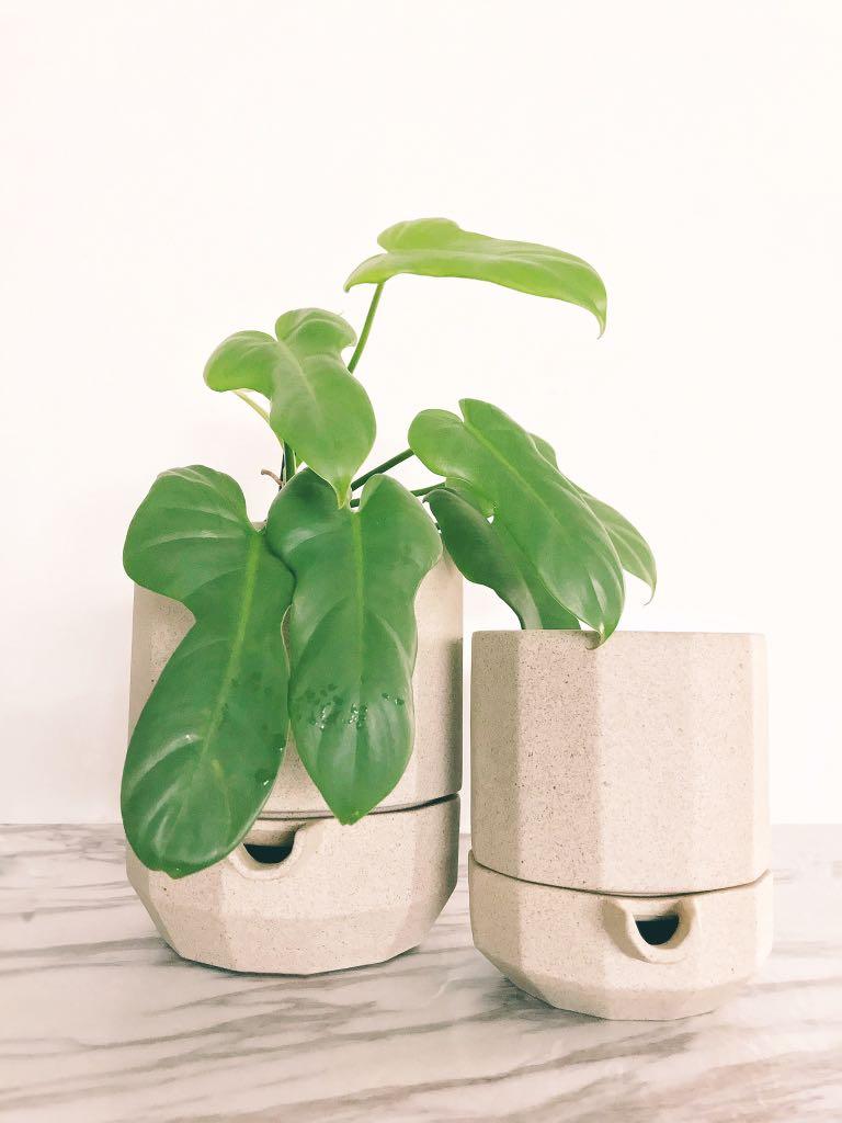 Self Watering Planter Gardening Pots Planters On Carou Self Watering Planter Gardening Pots