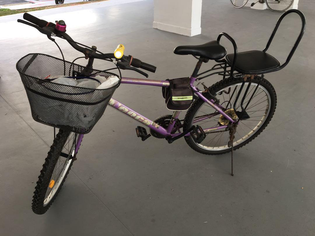 adult bike with child seat