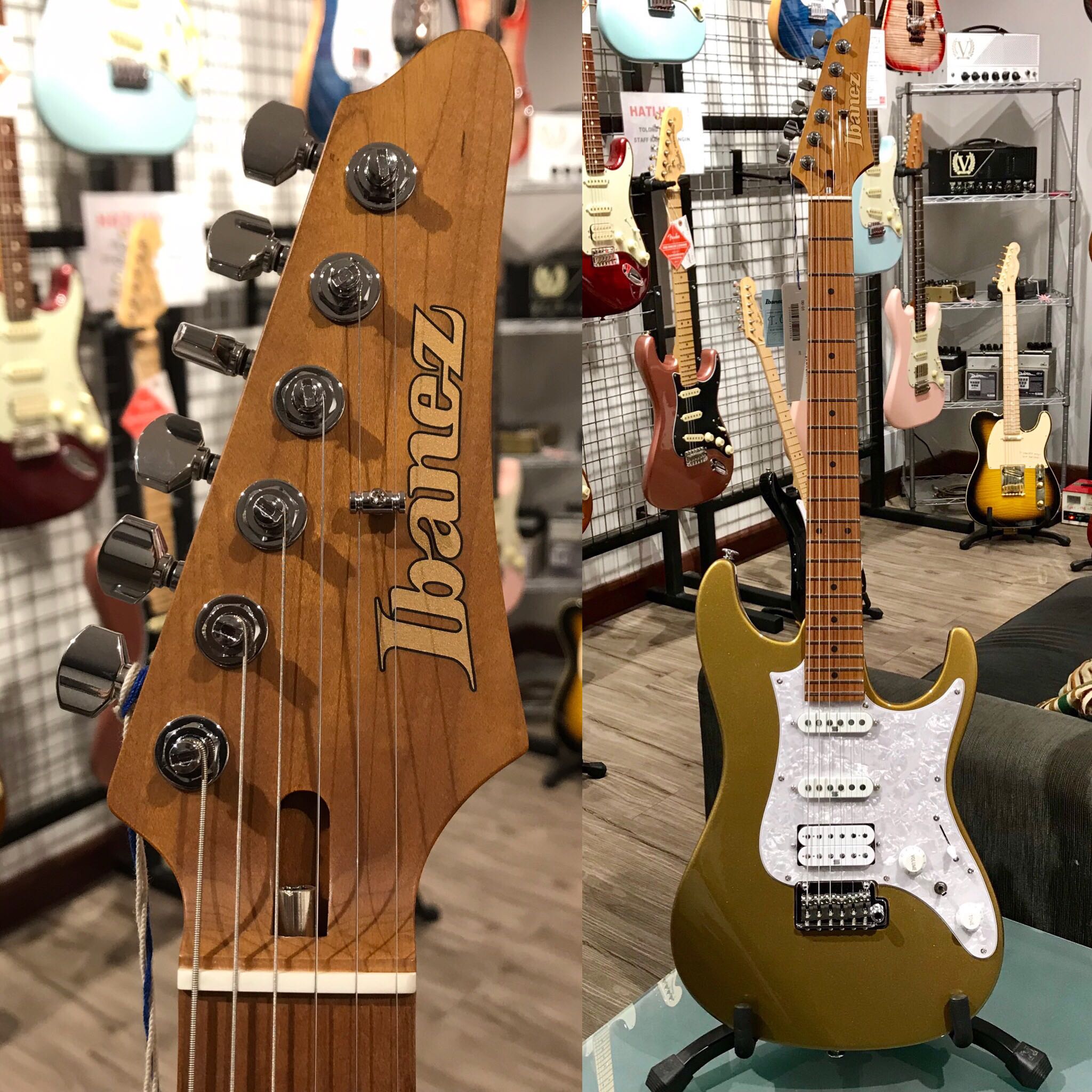 Ibanez az2204 store gold